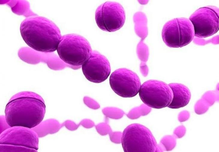 10 самых опасных бактерий в мире