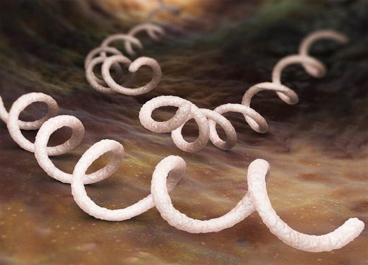 10 самых опасных бактерий в мире