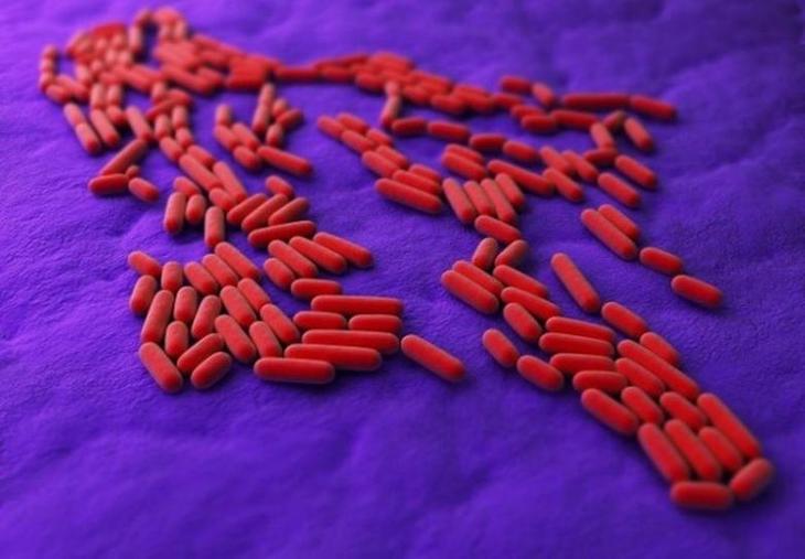10 самых опасных бактерий в мире