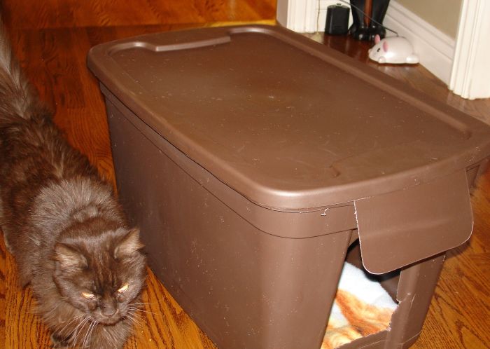 11 обновлений для дома и сада, которые можно устроить с помощью пластиковых контейнеров