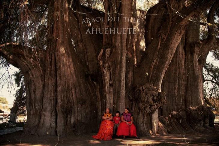 11 самых уютных городов планеты