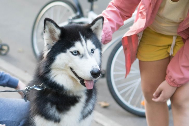 12 правил, о которых не говорят в обществе