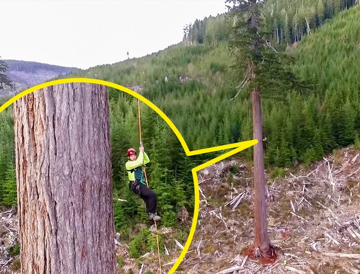 12 удивительных явлений из разных уголков нашей планеты, в которые трудно поверить с первого взгляда