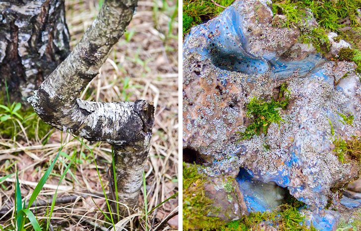 12 удивительных явлений из разных уголков нашей планеты, в которые трудно поверить с первого взгляда