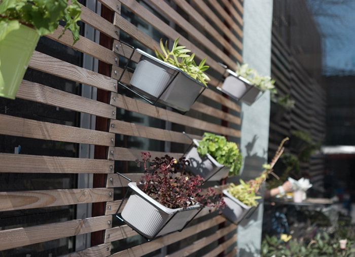 13 броских заборов, которые станут визитной карточкой участка