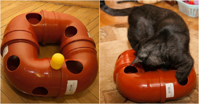 13 лучших игрушек для котов, которые можно быстро сделать своими руками