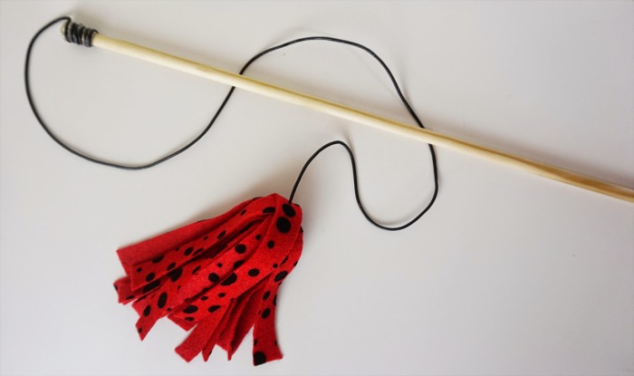 13 лучших игрушек для котов, которые можно быстро сделать своими руками