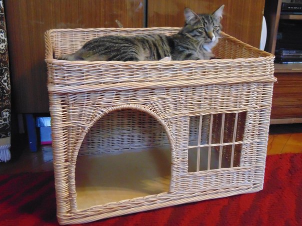 15 невероятных домиков для кошек и собак, которые заставят улыбнуться