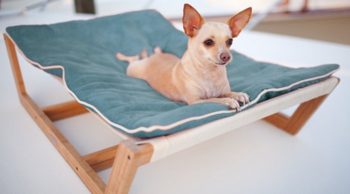 15 невероятных домиков для кошек и собак, которые заставят улыбнуться