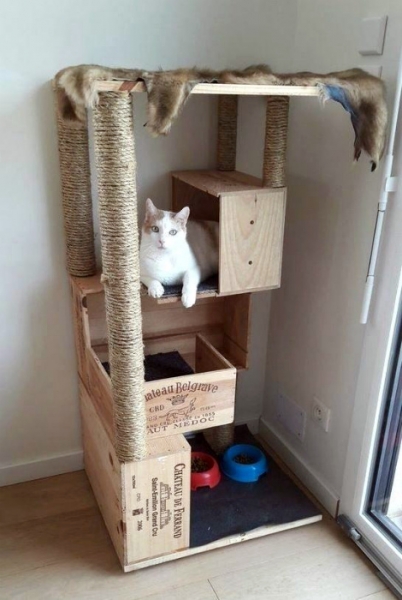 15 поделок для домашних любимцев, которые можно легко сделать самому