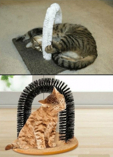 15 поделок для домашних любимцев, которые можно легко сделать самому