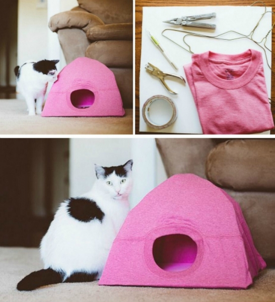 15 поделок для домашних любимцев, которые можно легко сделать самому