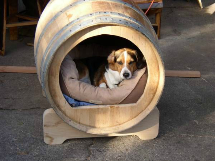 15 поделок для домашних любимцев, которые можно легко сделать самому