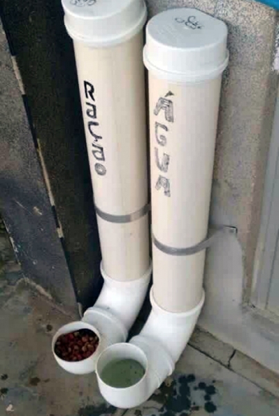 15 поделок для домашних любимцев, которые можно легко сделать самому