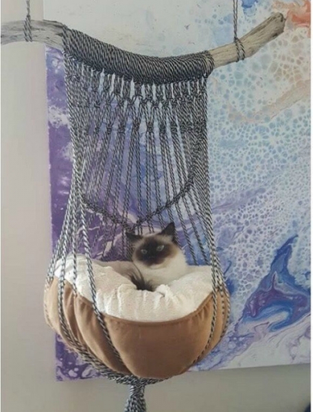 15 поделок для домашних любимцев, которые можно легко сделать самому