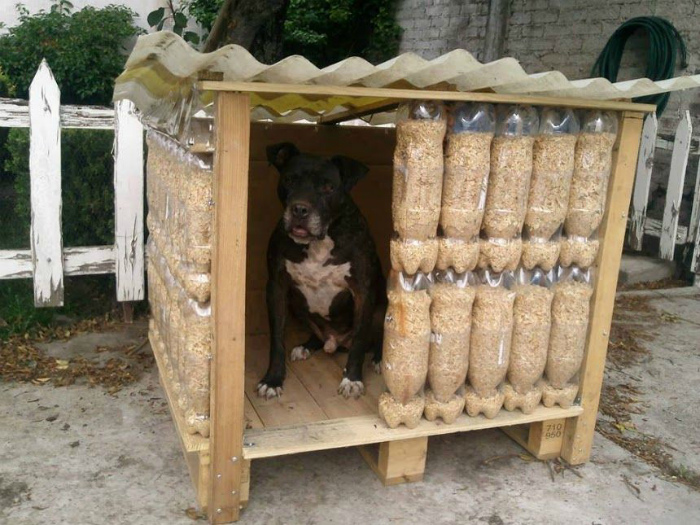 15 поделок для домашних любимцев, которые можно легко сделать самому