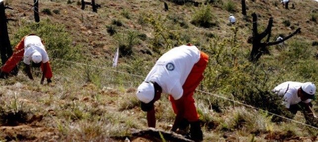 15 потрясающих фактов о разных странах, которые мало кто знает