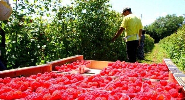 15 потрясающих фактов о разных странах, которые мало кто знает