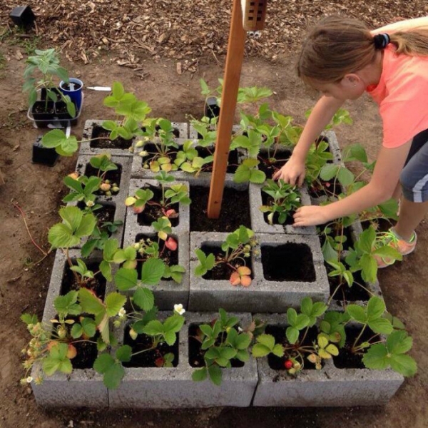 17 идей использования шлакоблоков и кирпича для обустройства сада