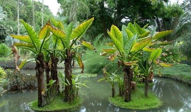 18 красивейших садов мира