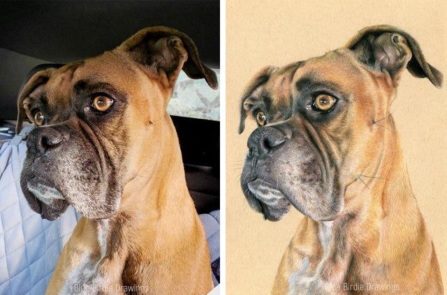 19 рукастых людей, которые любят мастерить вещи, и они выходят очень крутыми