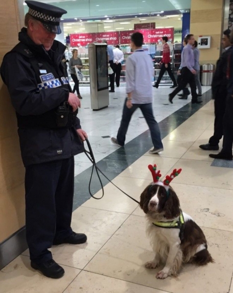 20 фактов о Лондоне, которые вы, скорее всего, не знали