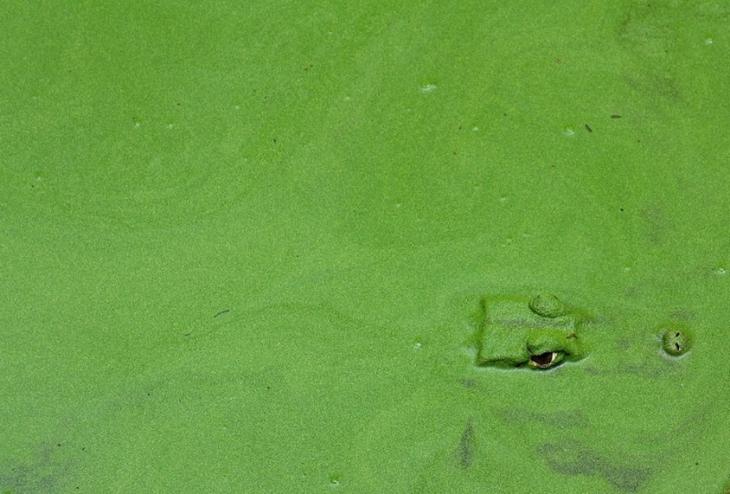 33 фото как доказательство того, что мир никогда не перестанет нас удивлять