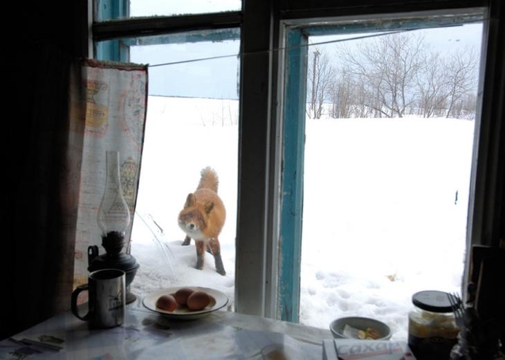 33 фото как доказательство того, что мир никогда не перестанет нас удивлять