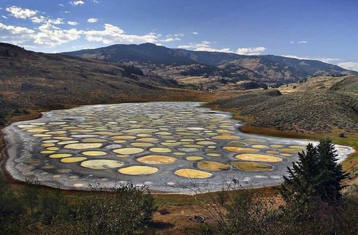 33 фото как доказательство того, что мир никогда не перестанет нас удивлять