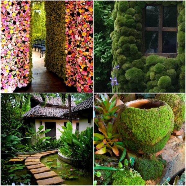 50 Удивительных идей для сада и дачи