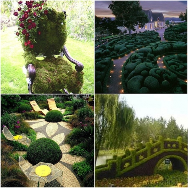 50 Удивительных идей для сада и дачи