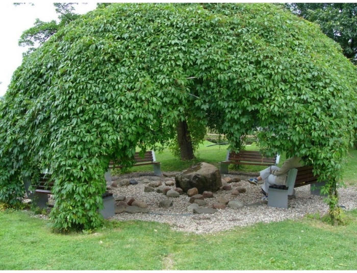 8 идей, которые добавят обычной даче красок и живости