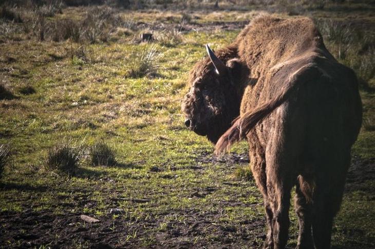8 недооценённых стран Европы, которые приятно удивят любого туриста