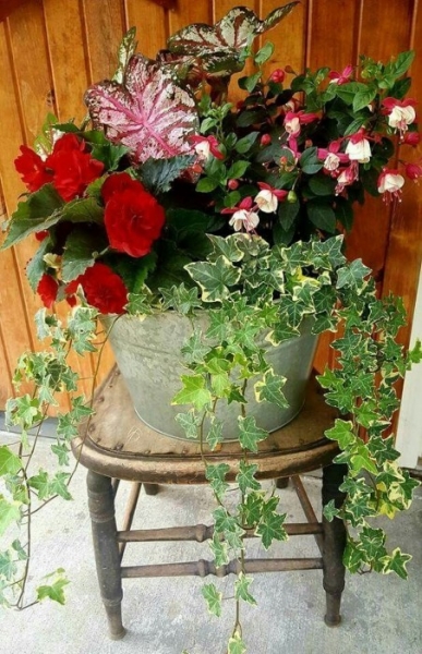 9 идей для создания клумбы, которая преобразит участок