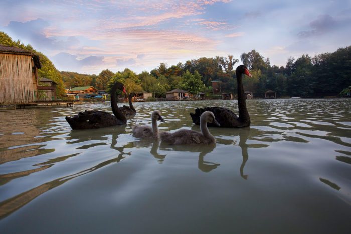 Адлер и его достопримечательности