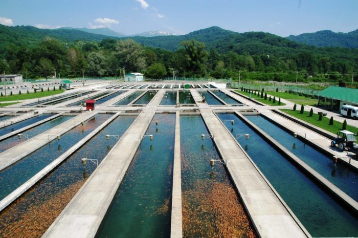 Адлер и его достопримечательности