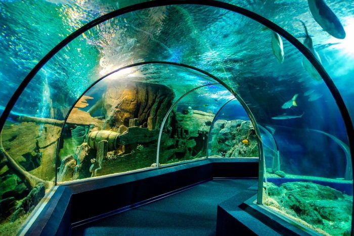 Адлер и его достопримечательности