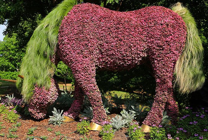 Ботанические сады Атланты и их восхитительные растительные фигуры