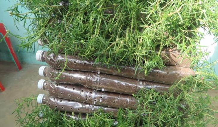 Цветочный водопад в вашем саду из простых пластиковых бутылок