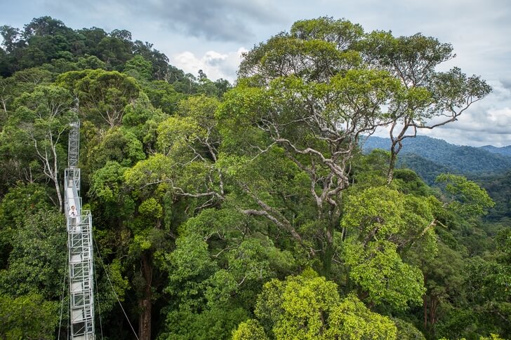 Достопримечательности Брунея