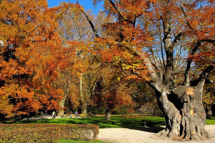 Достопримечательности Инсбрука