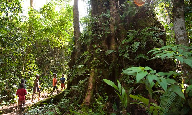 Достопримечательности Либерии: фото и описание