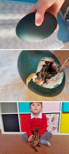 Фото, которые расскажут еще больше правды об окружающем мире