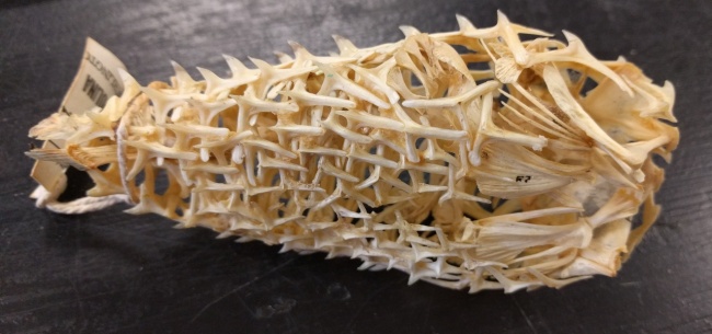 Фото, которые расскажут еще больше правды об окружающем мире