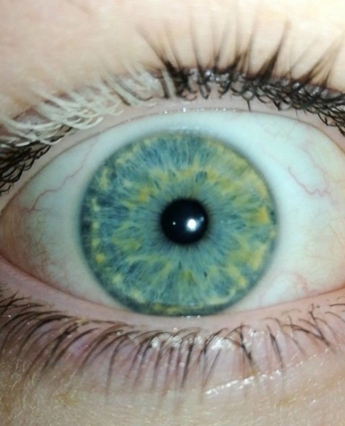 Фотодоказательства того, что природа может удивить даже тех, кто видел всё