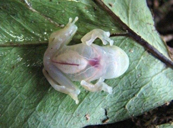 Фотодоказательства того, что природа может удивить даже тех, кто видел всё