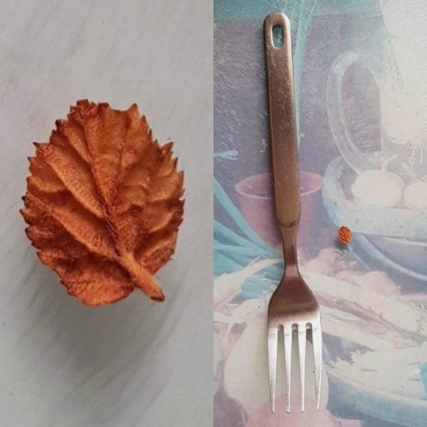 Фотодоказательства того, что природа может удивить даже тех, кто видел всё