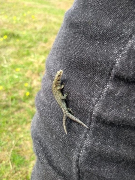 Фотодоказательства того, что природа может удивить даже тех, кто видел всё