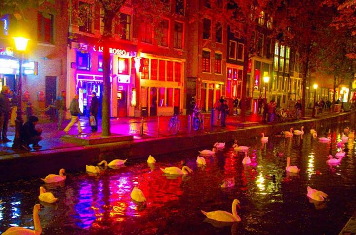 Главные достопримечательности Амстердама: список, фото и описание