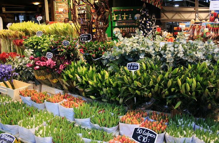 Главные достопримечательности Амстердама: список, фото и описание